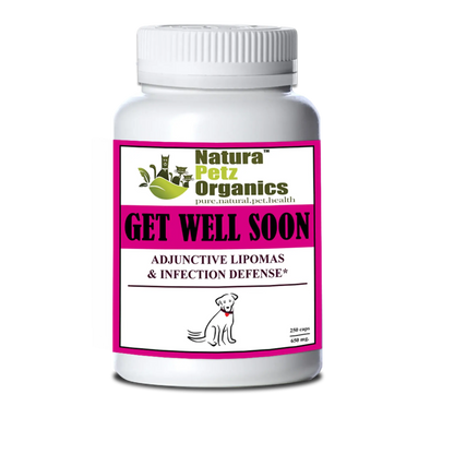 Get Well Soon - Adjunctive Lipoma + Infection Defense* Organic Pet Systems