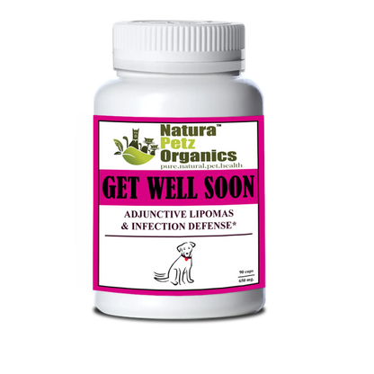 Get Well Soon - Adjunctive Lipoma + Infection Defense* Organic Pet Systems