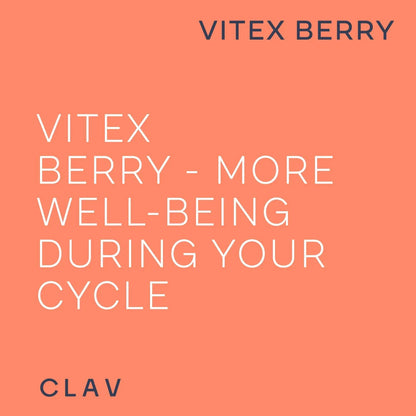 Vitex Berry Premium Chasteberry 4:1 Extract Vitex Agnus Castus Clav